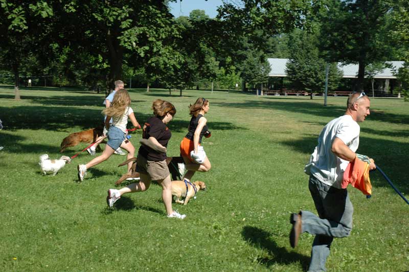 Broad Ripple hosts the 2nd annual ARPO Dog Olympics - By Sarah Davis