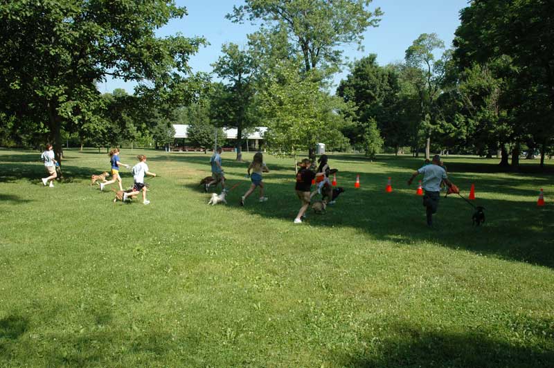 Broad Ripple hosts the 2nd annual ARPO Dog Olympics - By Sarah Davis