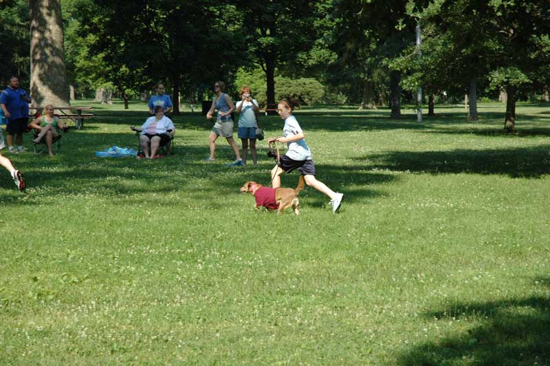 Broad Ripple hosts the 2nd annual ARPO Dog Olympics - By Sarah Davis