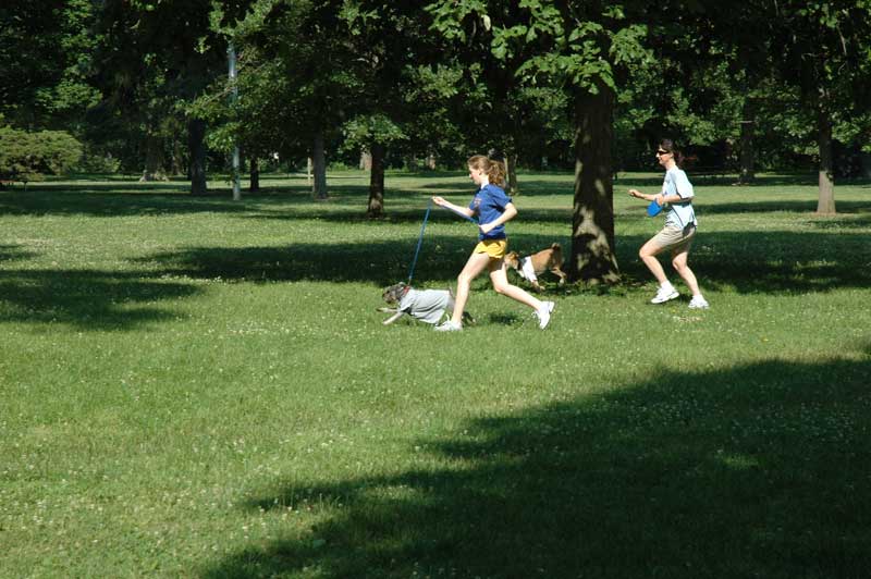 Broad Ripple hosts the 2nd annual ARPO Dog Olympics - By Sarah Davis