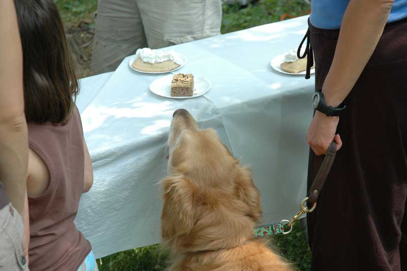 Contestants found it difficult to wait for the start of the pie eating contest.