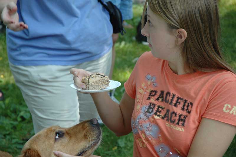 Broad Ripple hosts the 2nd annual ARPO Dog Olympics - By Sarah Davis