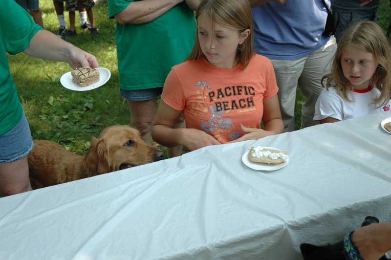 Broad Ripple hosts the 2nd annual ARPO Dog Olympics - By Sarah Davis