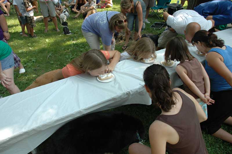 Broad Ripple hosts the 2nd annual ARPO Dog Olympics - By Sarah Davis