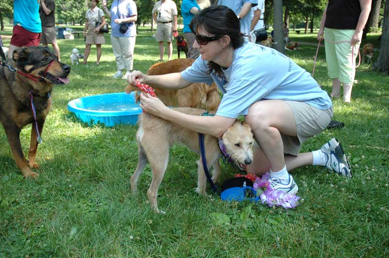 Broad Ripple hosts the 2nd annual ARPO Dog Olympics - By Sarah Davis