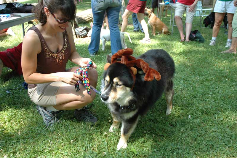 This dog became a reindeer in the 3-minute make-over costume contest.