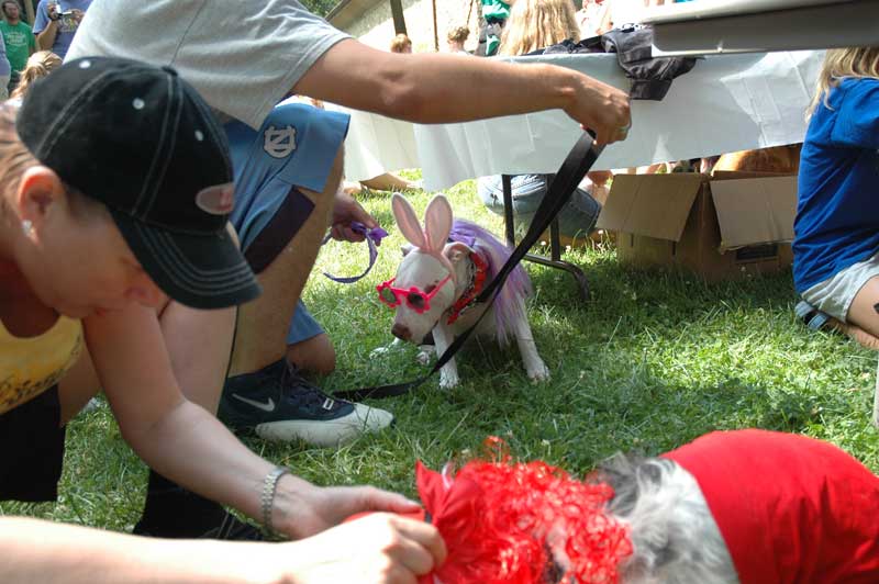 Broad Ripple hosts the 2nd annual ARPO Dog Olympics - By Sarah Davis