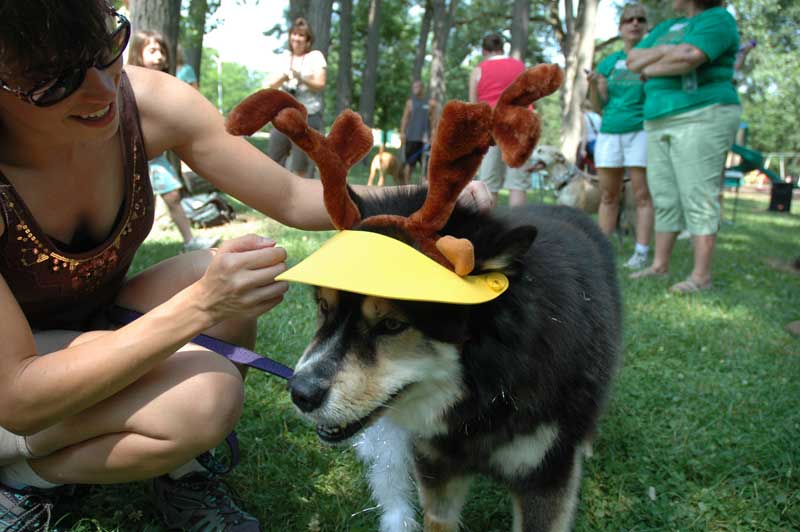 Broad Ripple hosts the 2nd annual ARPO Dog Olympics - By Sarah Davis