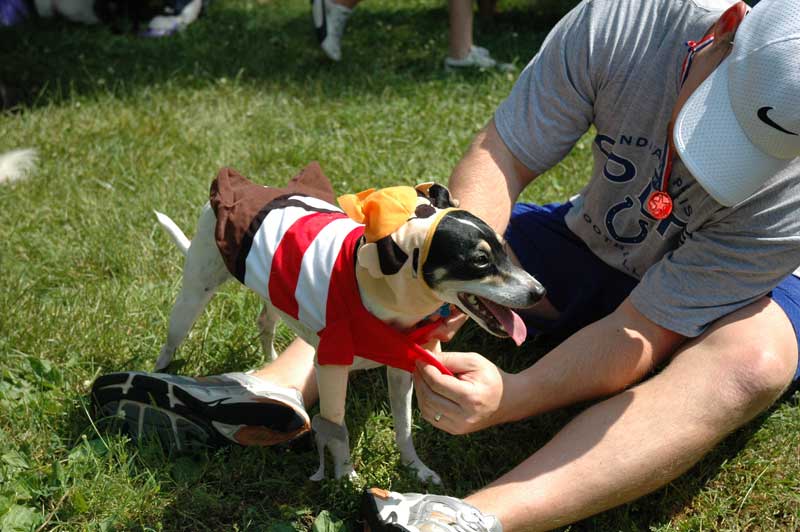 Broad Ripple hosts the 2nd annual ARPO Dog Olympics - By Sarah Davis