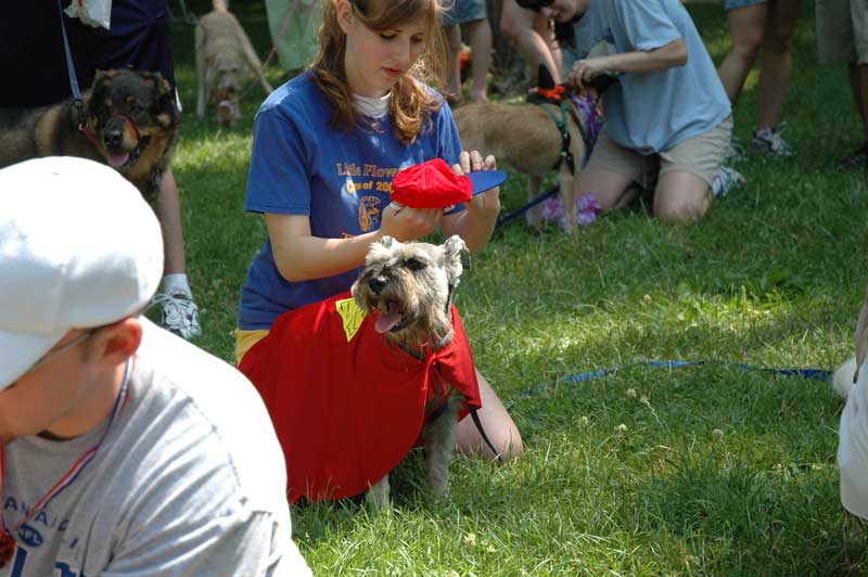 Broad Ripple hosts the 2nd annual ARPO Dog Olympics - By Sarah Davis