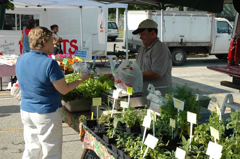 Broad Ripple Farmers' Market - by Candance Lasco