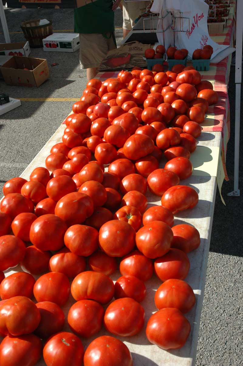 Broad Ripple Farmers' Market - by Candance Lasco