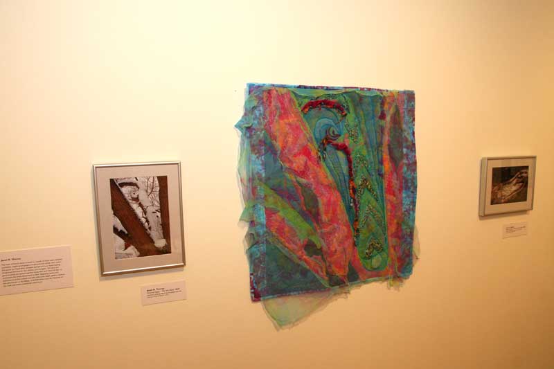 The Broad Ripple Fall Gallery Tour - By Heidi Huff