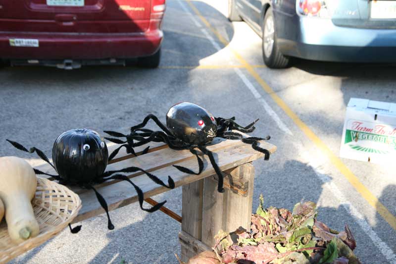 A scary octopus and spider indicate that Halloween is not far away.