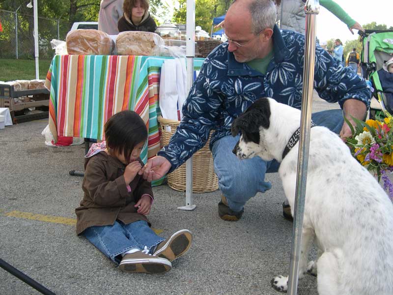 Archie looks on as his owner Tess sips from a honey straw.