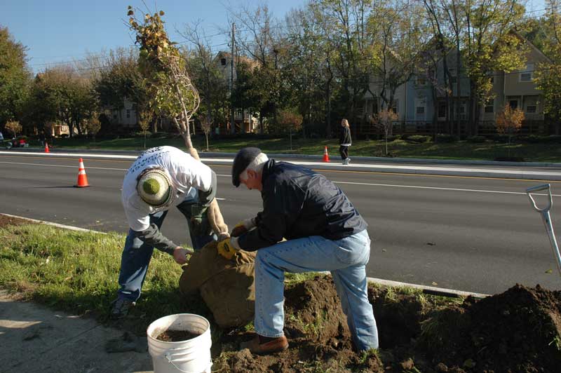 Keeping Broad Ripple Beautiful - By Ashley Plummer