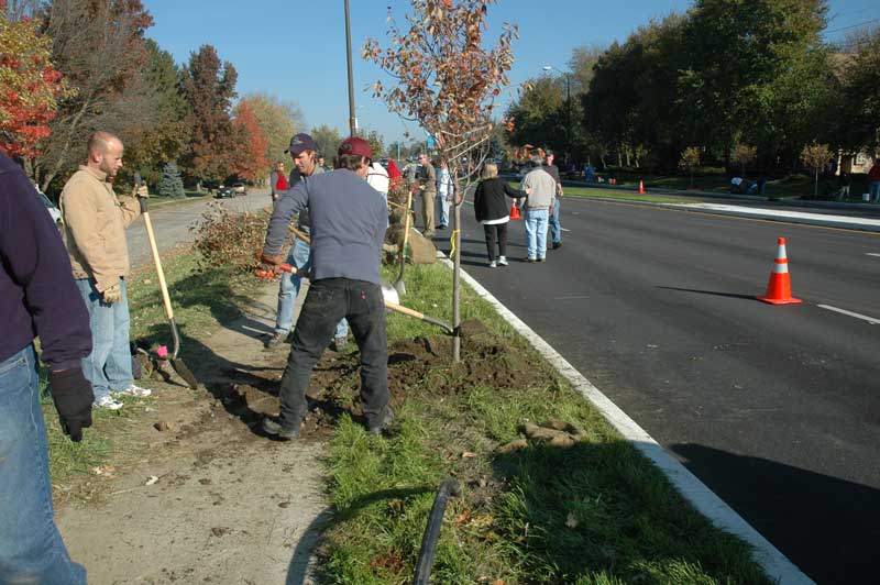 Keeping Broad Ripple Beautiful - By Ashley Plummer