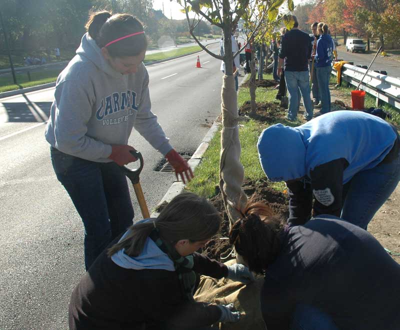 Keeping Broad Ripple Beautiful - By Ashley Plummer