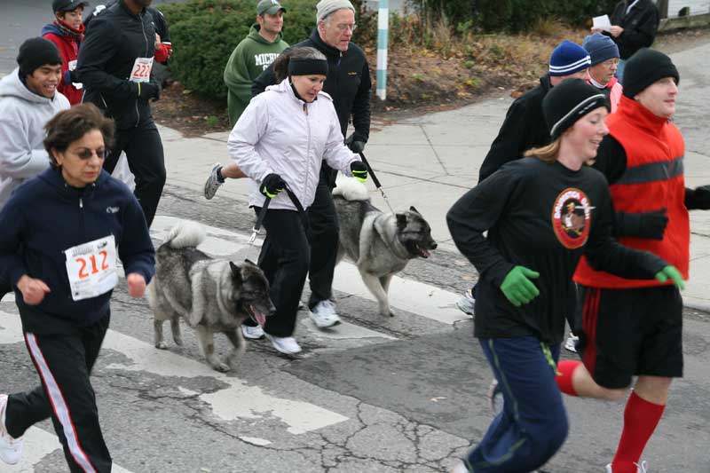 The Thanksgiving Turkey appears for the fifth year in a row in Broad Ripple