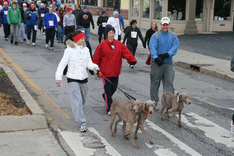 The Thanksgiving Turkey appears for the fifth year in a row in Broad Ripple