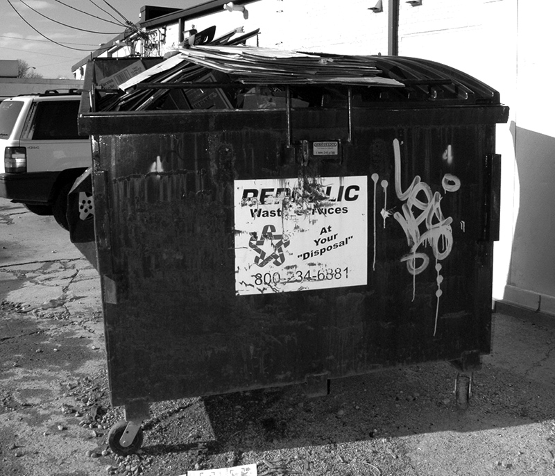 Current garbage bins in various parts of Broad Ripple. The current recycling initiative hopes to eventually get rid of most of these to make room for recycling containers. 