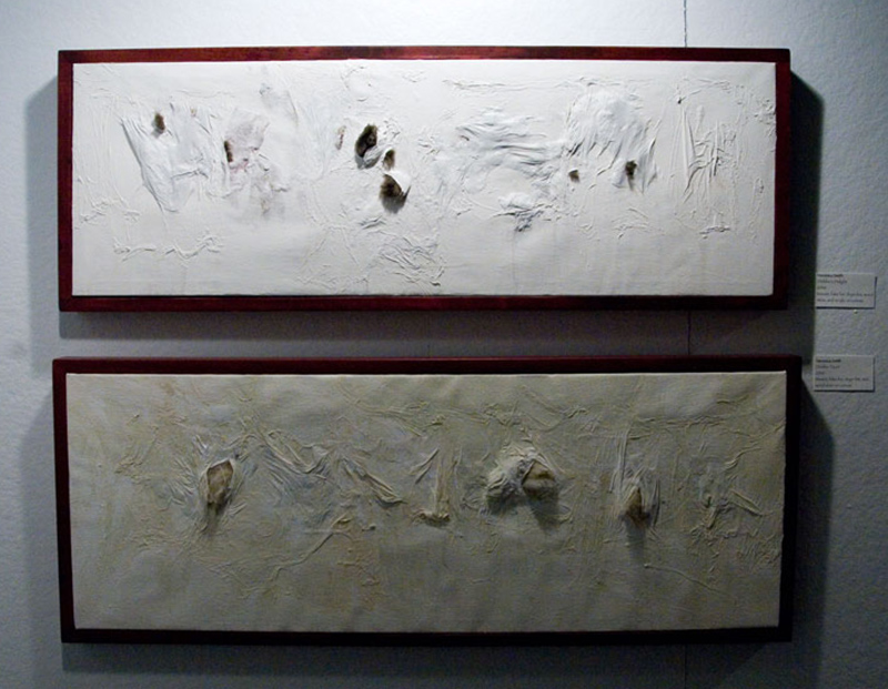 Top - Debbie's Delight (2006) tissues, fake fur, dryer lint, wood stain, and acrylic on canvas. Bottom - Debbie Taunt (2006) tissues, fake fur, dryer lint, and wood stain on canvas