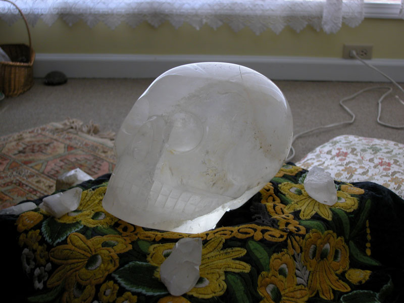 Random Rippling - Max the Ancient Crystal Skull Inspiration for next Indiana Jones film: Indiana Jones and the Kingdom of the Crystal Skull