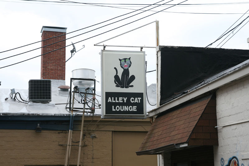 Ripple Restaurant SBS* Review - Alley Cat Lounge