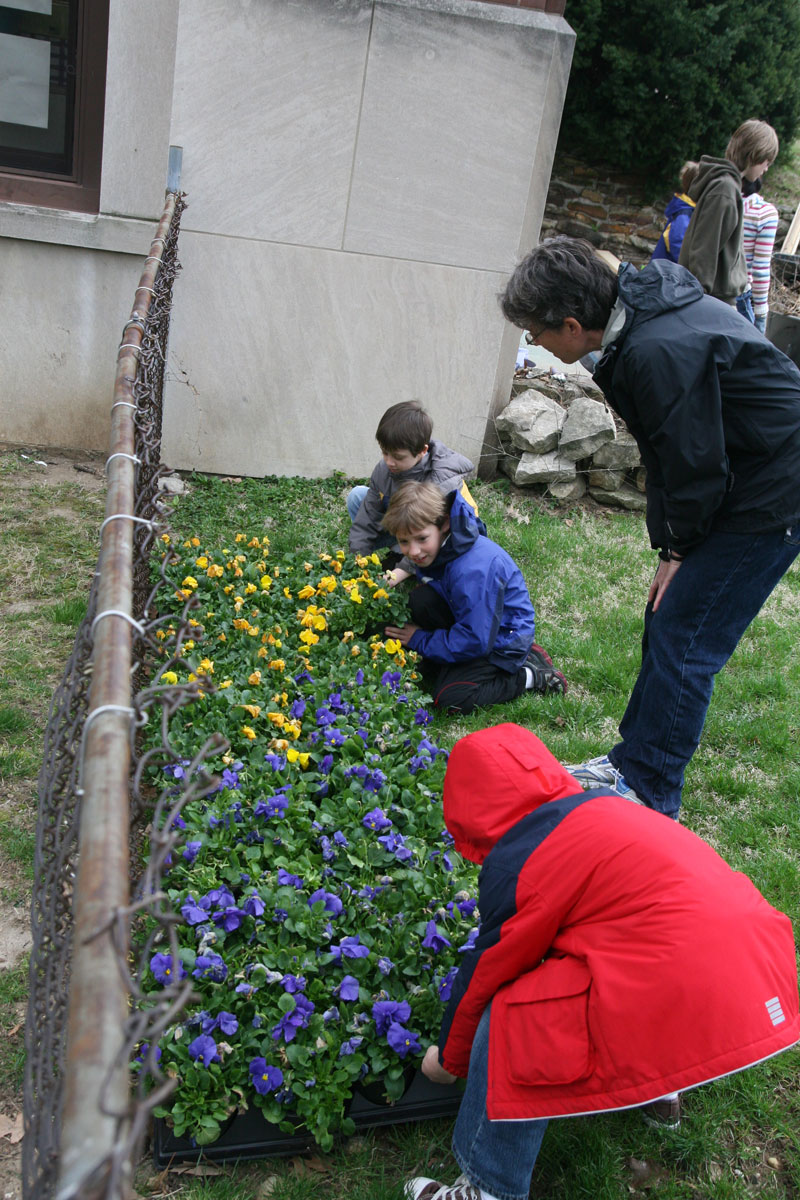 Random Rippling - School 84 garden day