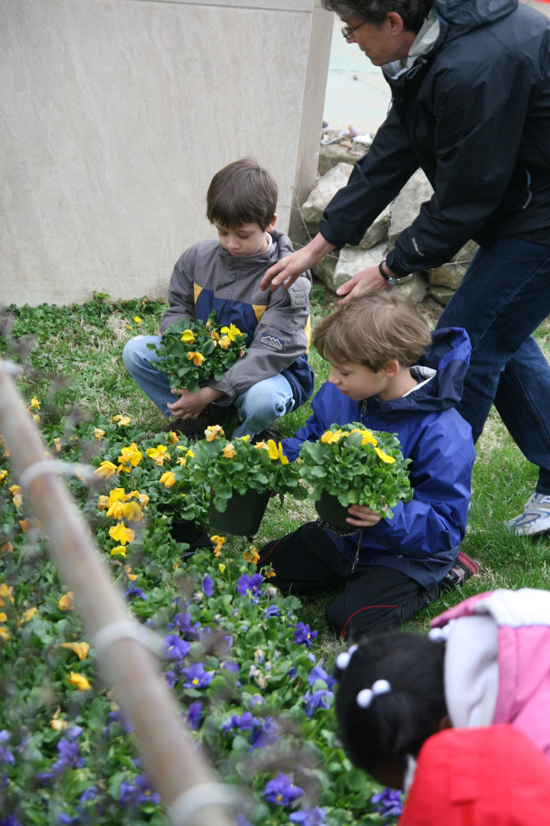 Random Rippling - School 84 garden day