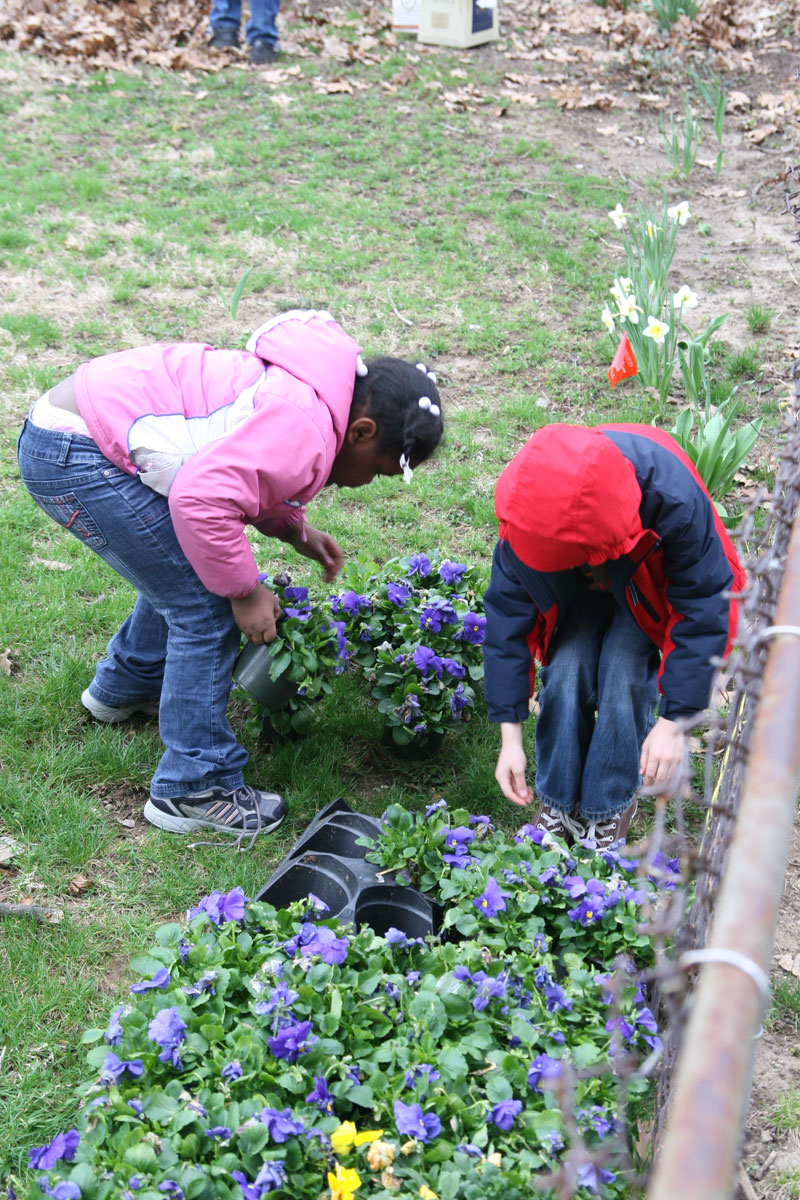 Random Rippling - School 84 garden day