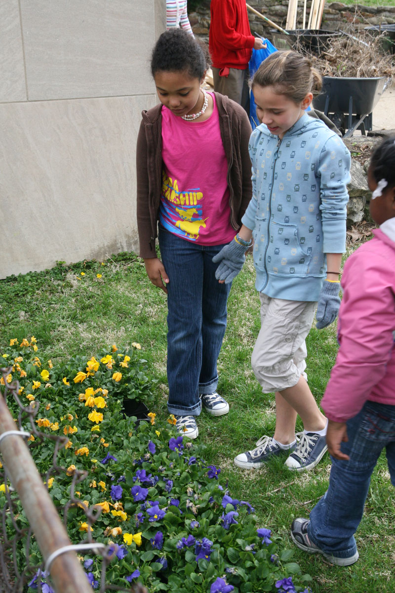 Random Rippling - School 84 garden day