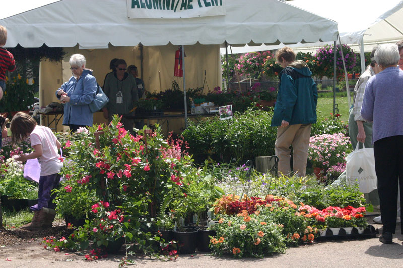 Orchard in Bloom kicks off Spring - by Candance Lasco 