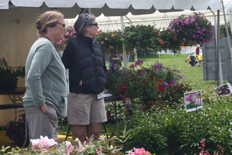 Orchard in Bloom kicks off Spring - by Candance Lasco 