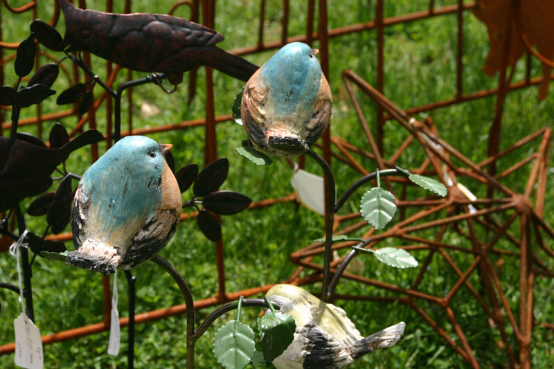 Orchard in Bloom kicks off Spring - by Candance Lasco 