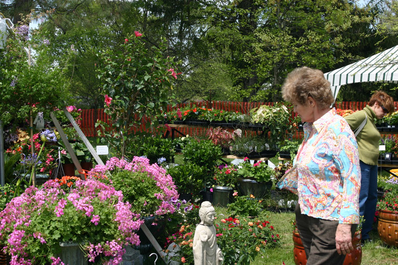 Lush gardens were enjoyed at Holliday Park.