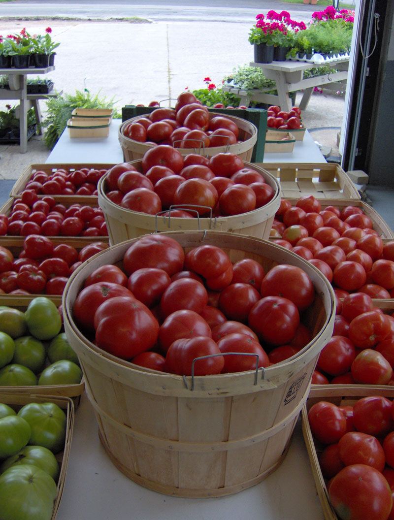 Locally Grown Gardens Personal Produce - By Mario Morone