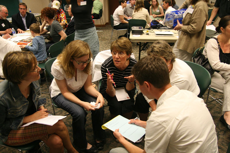 Elaine Zukerman participating in a group discussing rapid transit possibilities.