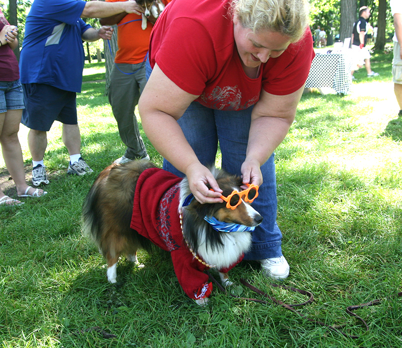 Random Rippling - Dog Olympics