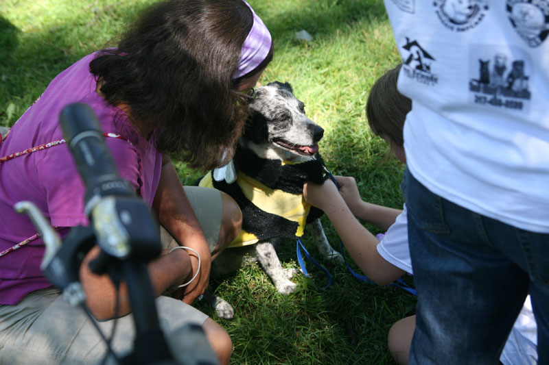 Random Rippling - Dog Olympics