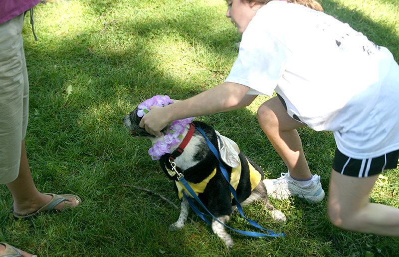 Random Rippling - Dog Olympics