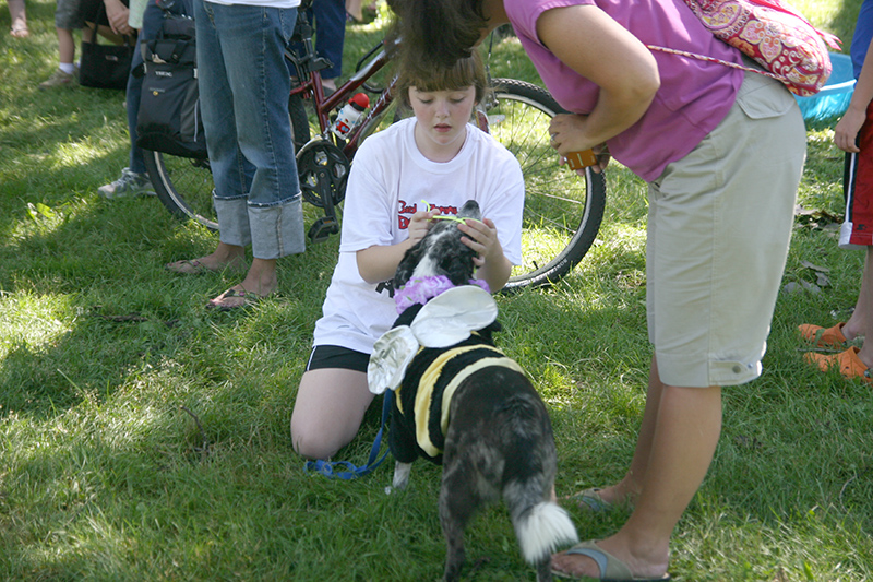 Random Rippling - Dog Olympics