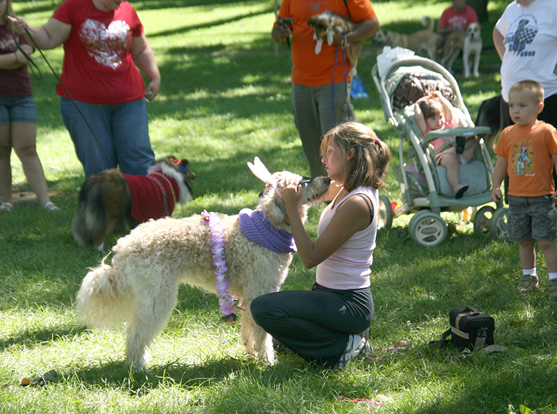 A participant in the doggie costume contest gets some final adjustments