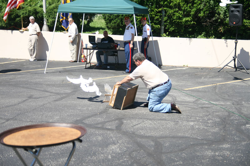 Releasing the doves