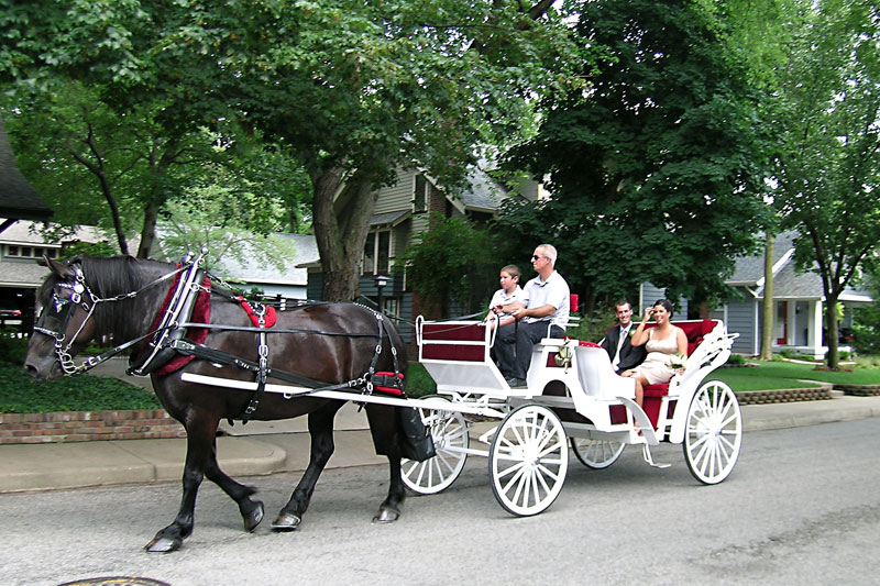 Random Rippling - Wedding carriage ride