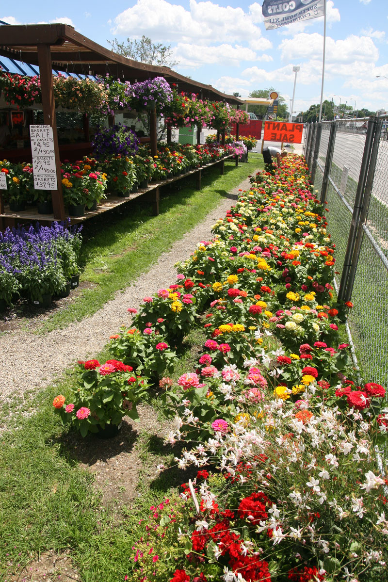 Johnny's Market marks 33rd year in Village - By Mario Morone