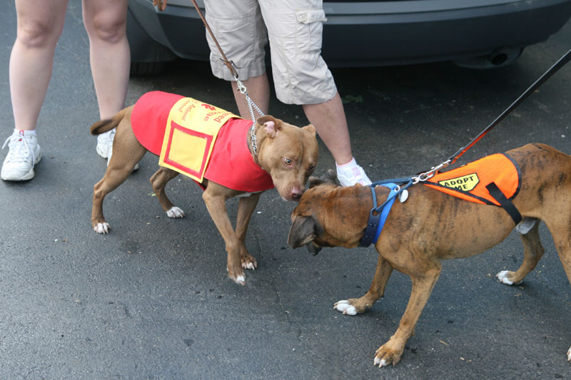 Random Rippling - Dog 'n Suds at Brew Pub