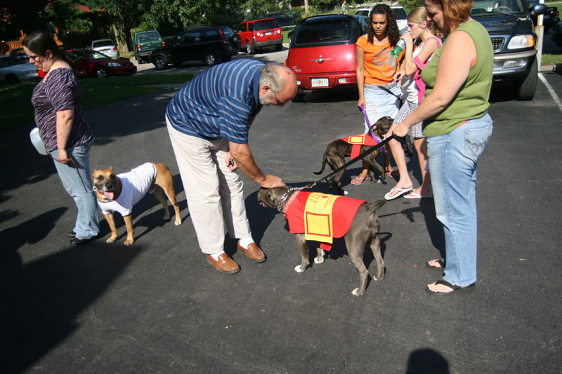 John Hill comes out to see the dogs