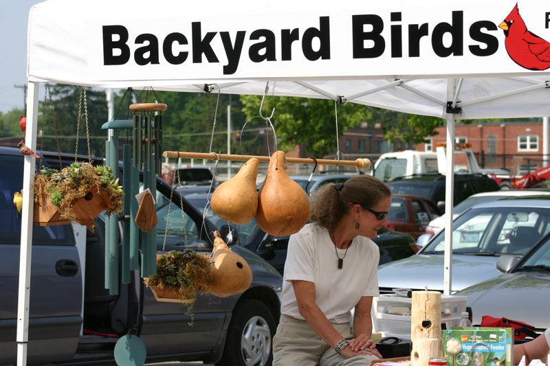 Backyard Birds