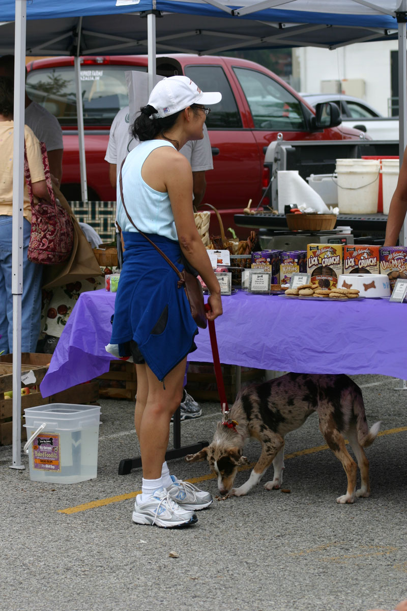 This doggie found treats under the table at the Three Dog Bakery booth at the July 26 market.
